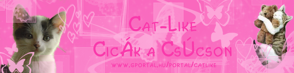 Cat-Like--Cicamnia